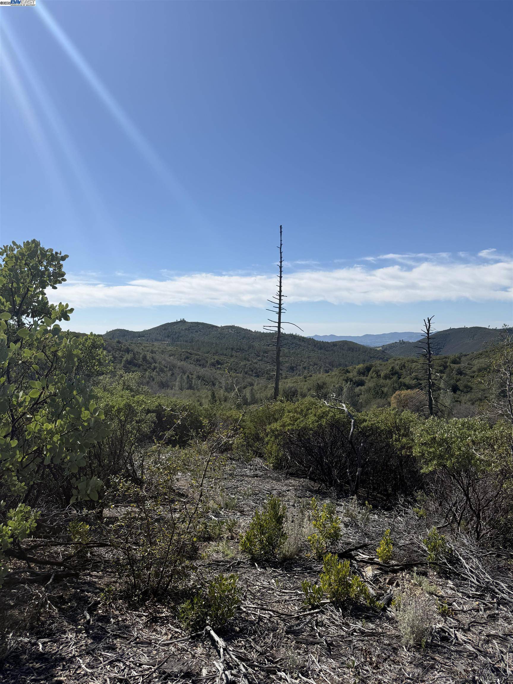 Murphys, CA 95247,0000 ESMERALDA RD