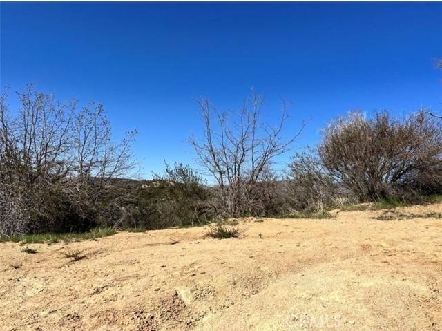 Cedar Glen, CA 92321,0 Coulter