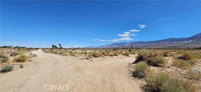 Lucerne Valley, CA 92356,800 Morningside RD