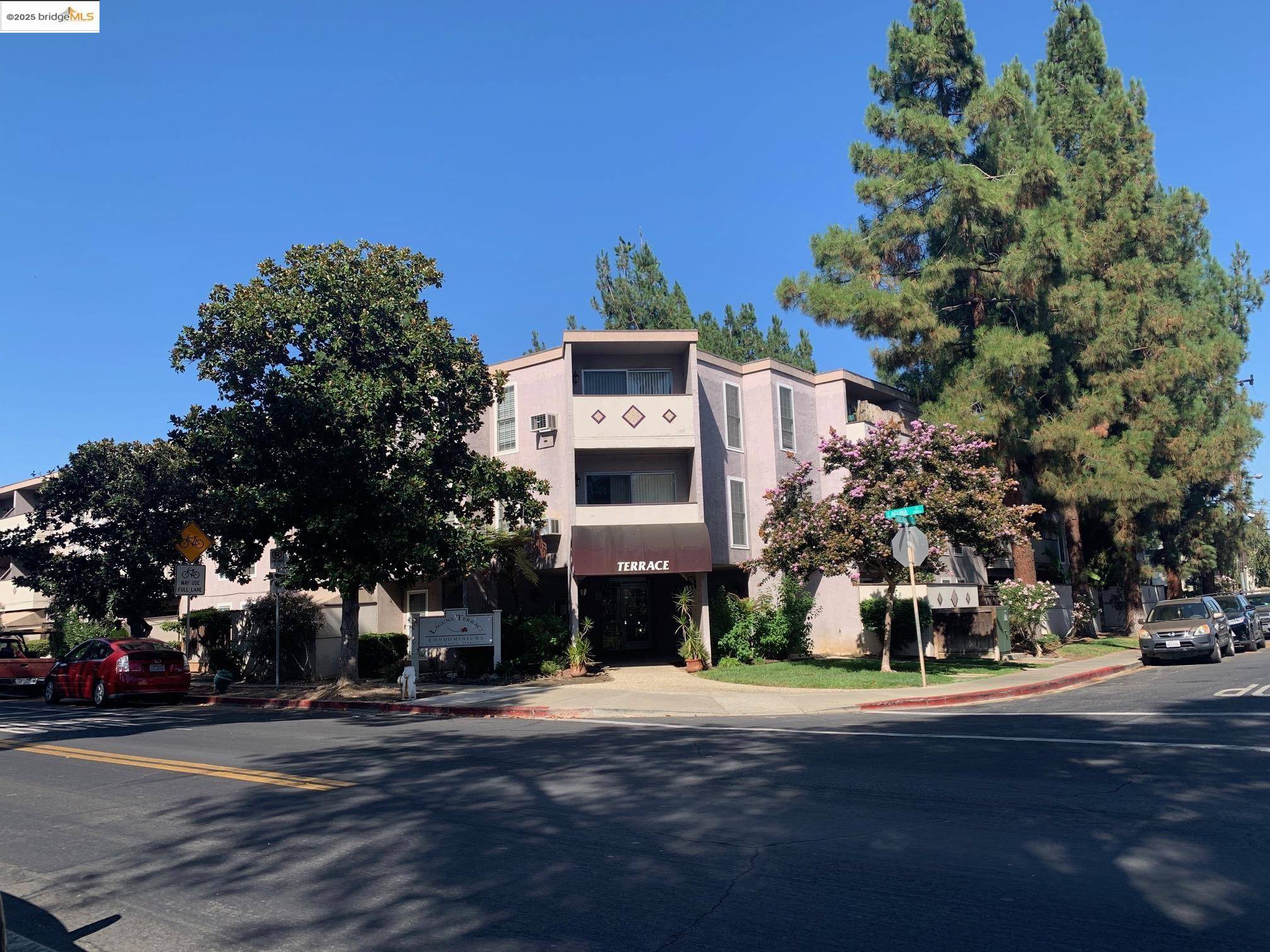 Concord, CA 94520,1699 Laguna St 206