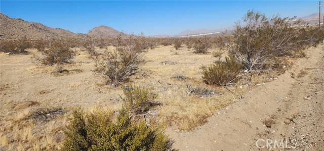 Lucerne Valley, CA 92356,9966 Trade Post RD