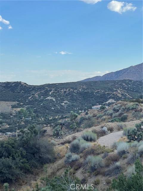 Pinon Hills, CA 92372,8320 Zohra Canyon RD