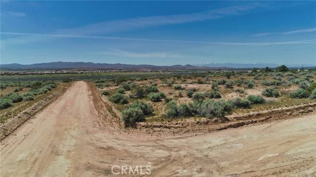 Helendale, CA 92342,0 Riverview RD