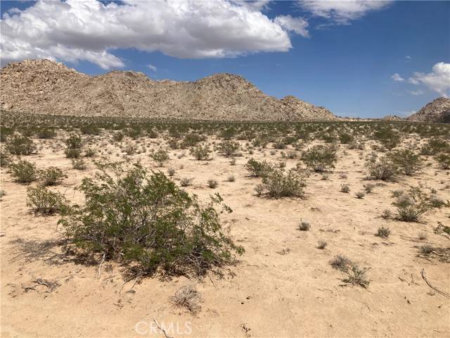 Lucerne Valley, CA 92356,4500713 Wren