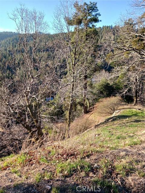 Cedarpines Park, CA 92322,1 Crest Forest DR