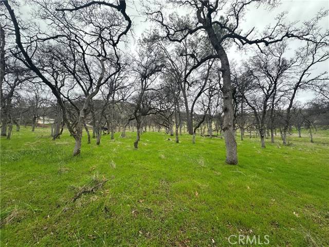 Butte Valley, CA 95965,0 Royal Mountain RD