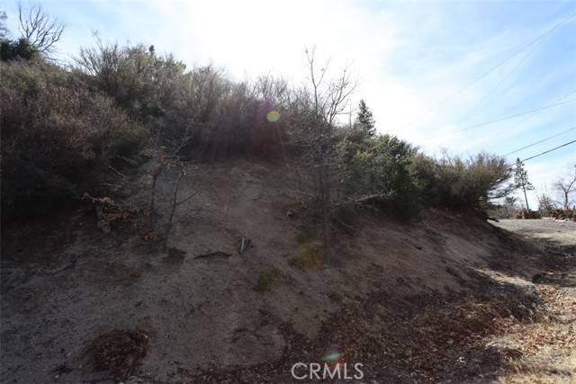 Cedar Glen, CA 92321,721 Acacia RD