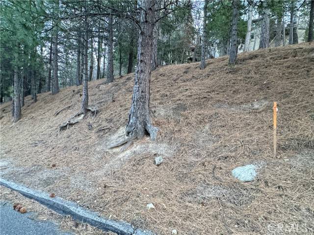 Running Springs, CA 92382,0 Pixie DR