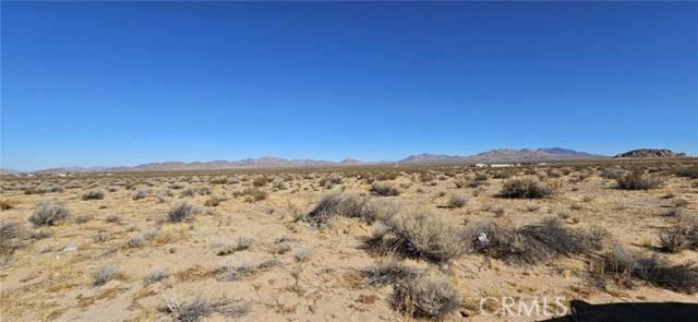 Lucerne Valley, CA 92356,800 Tate LN