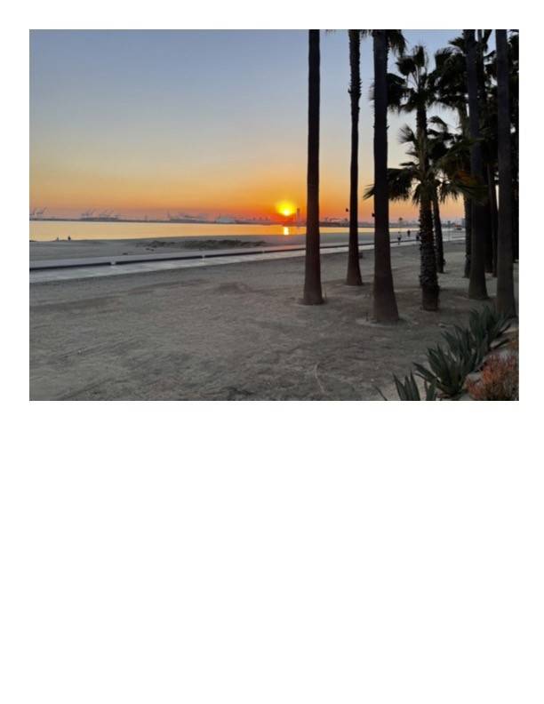 Long Beach, CA 90802,25 15th PL 101