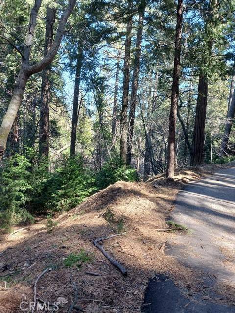 Cedarpines Park, CA 92322,687 Spring DR