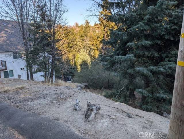 Lake Arrowhead, CA 92352,0 Shenandoah DR