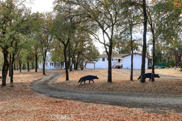 North Fork, CA 93643,32786 32762 Road 221
