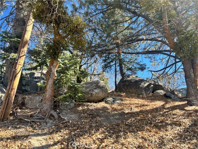 Arrowbear, CA 92382,0 Woodland Ct