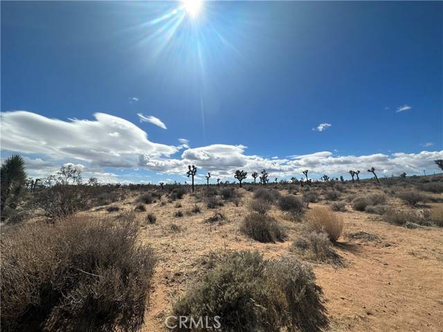 Yucca Valley, CA 92284,77777 Sunny Sands DR