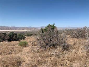 Lucerne Valley, CA 92356,0 Emerald