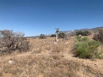 Lucerne Valley, CA 92356,0 Emerald