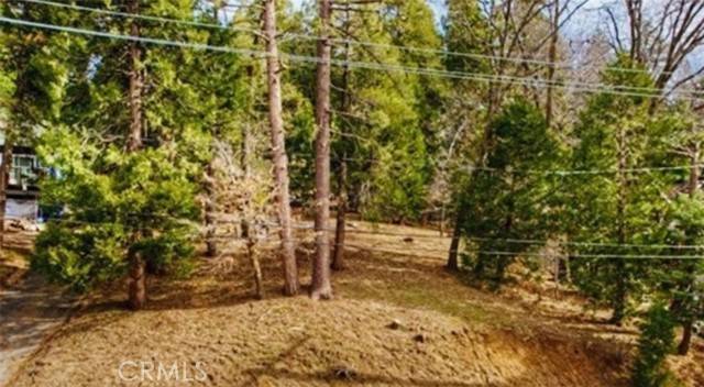 Lake Arrowhead, CA 92352,28931 Potomac DR