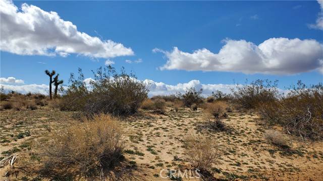 Mojave, CA 93501,0 Reed Ave