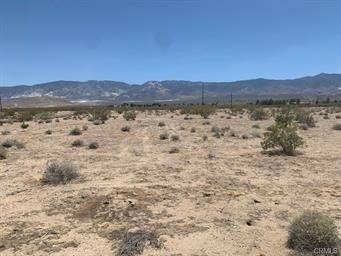 Lucerne Valley, CA 92356,0 Desert VW