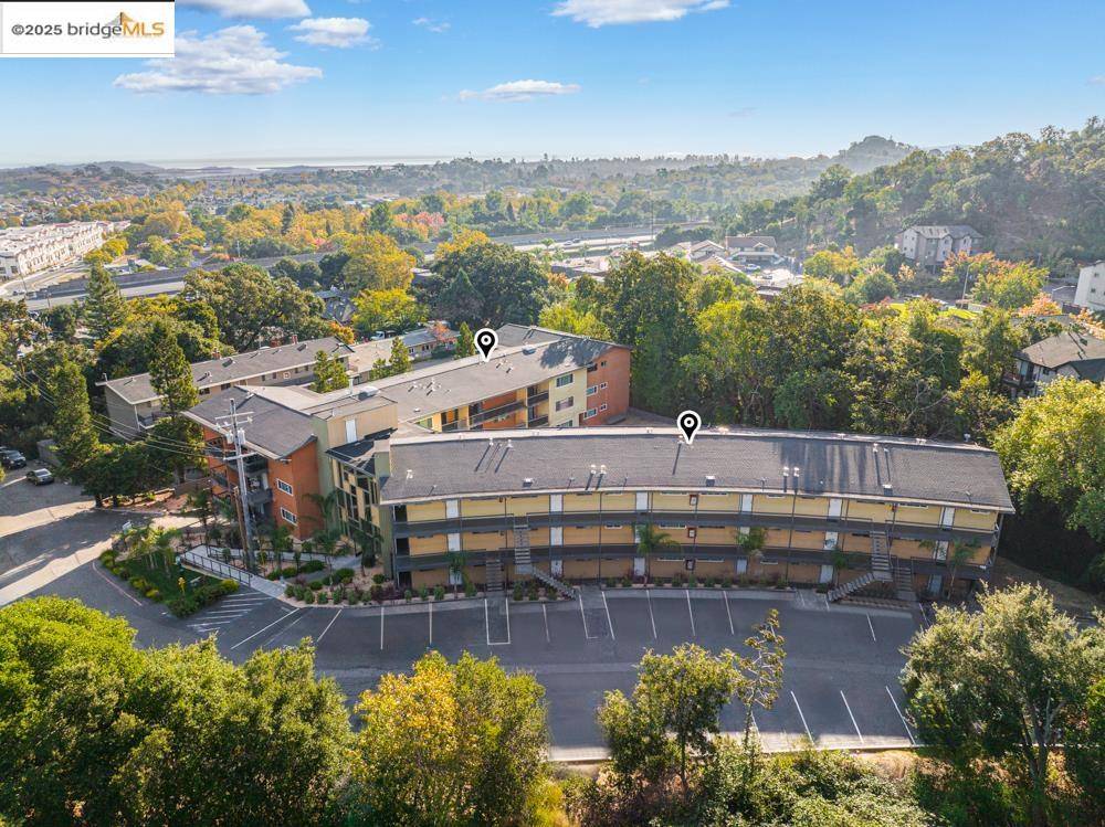 Novato, CA 94949,195 Los Robles