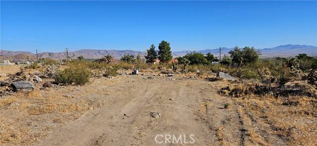 Lucerne Valley, CA 92356,800 Carnelian RD