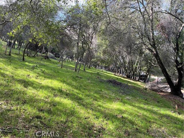 Kelseyville, CA 95451,8452 Soda Bay RD