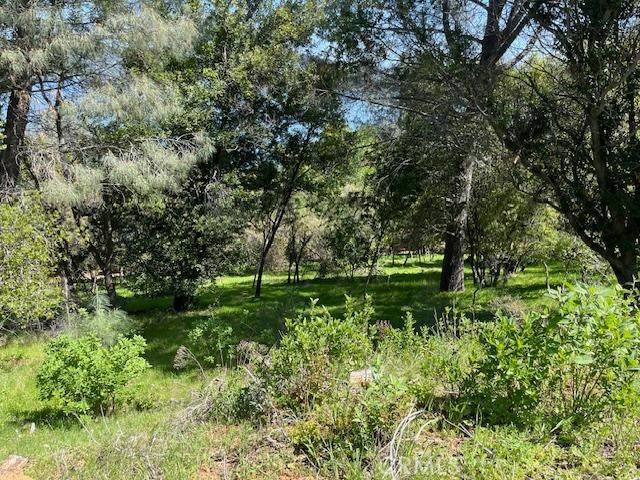 Kelseyville, CA 95451,8444 Soda Bay RD