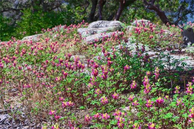 Oakhurst, CA 93644,0 155.3 AC Old Yosemite RD