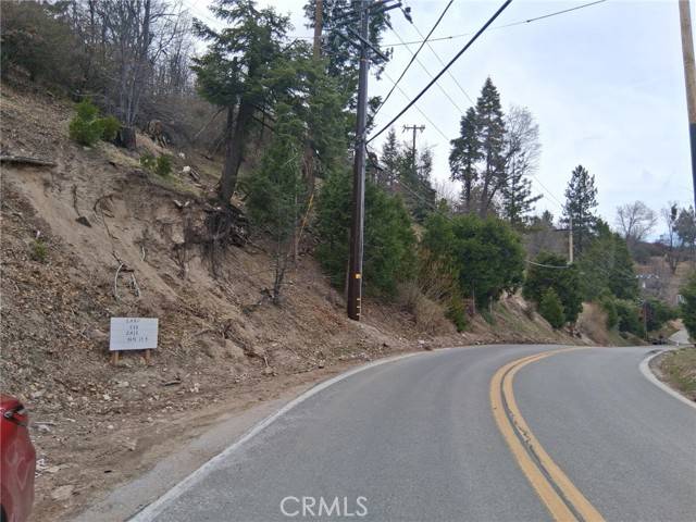 Cedar Glen, CA 92321,29602 Hook Creek RD
