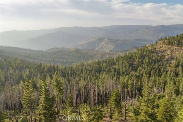 Yosemite, CA 95389,7373 Henness Ridge RD