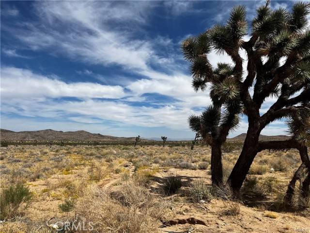 Yucca Valley, CA 92284,0 Avalon