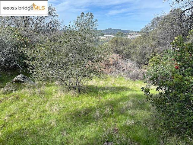 Sonora, CA 95370,13613 Joshua WAY