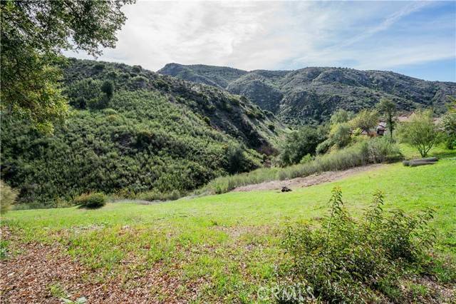 Bell Canyon, CA 91307,16 Holster LN