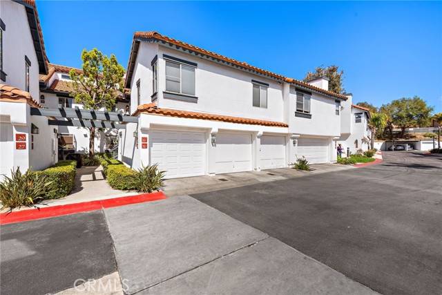 Rancho Santa Margarita, CA 92688,33 Lobelia