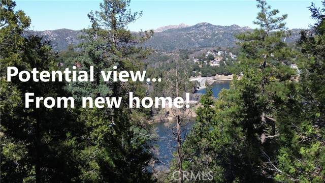 Crestline, CA 92325,24200 Altdorf DR