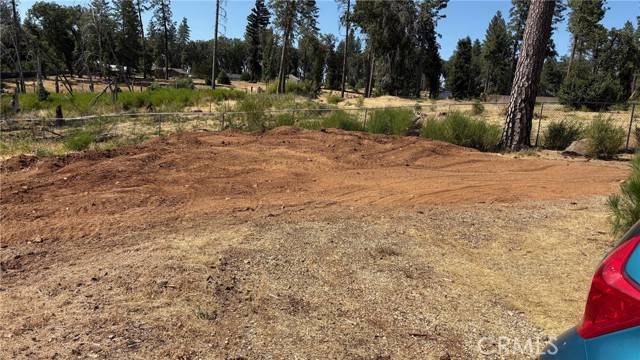 Paradise, CA 95969,7785 Skyway