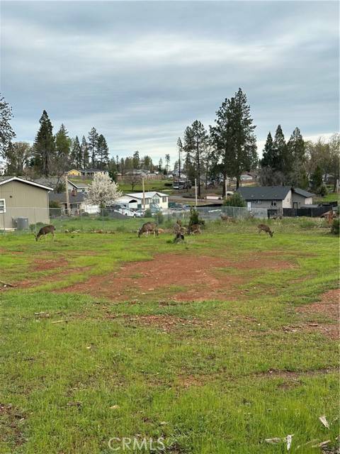 Paradise, CA 95969,6074 Patsy CT