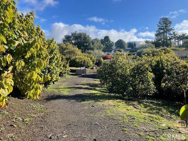 Carpinteria, CA 93013,0 Shepard Mesa RD