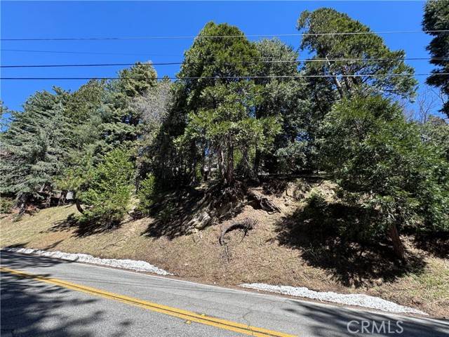 Twin Peaks, CA 92391,0 North RD