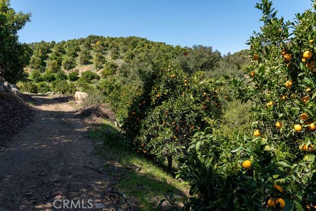 Wildomar, CA 92530,11 Stage RD