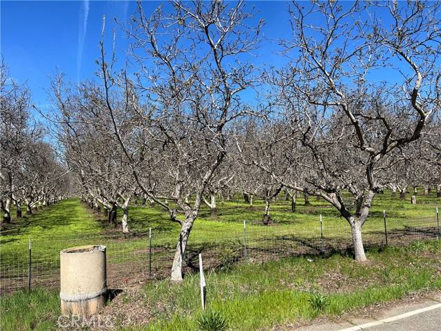 Red Bluff, CA 96080,0 Kauffman AVE