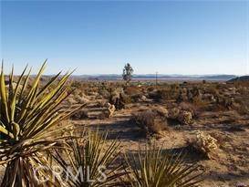 Joshua Tree, CA 92252,7275 Saddleback RD