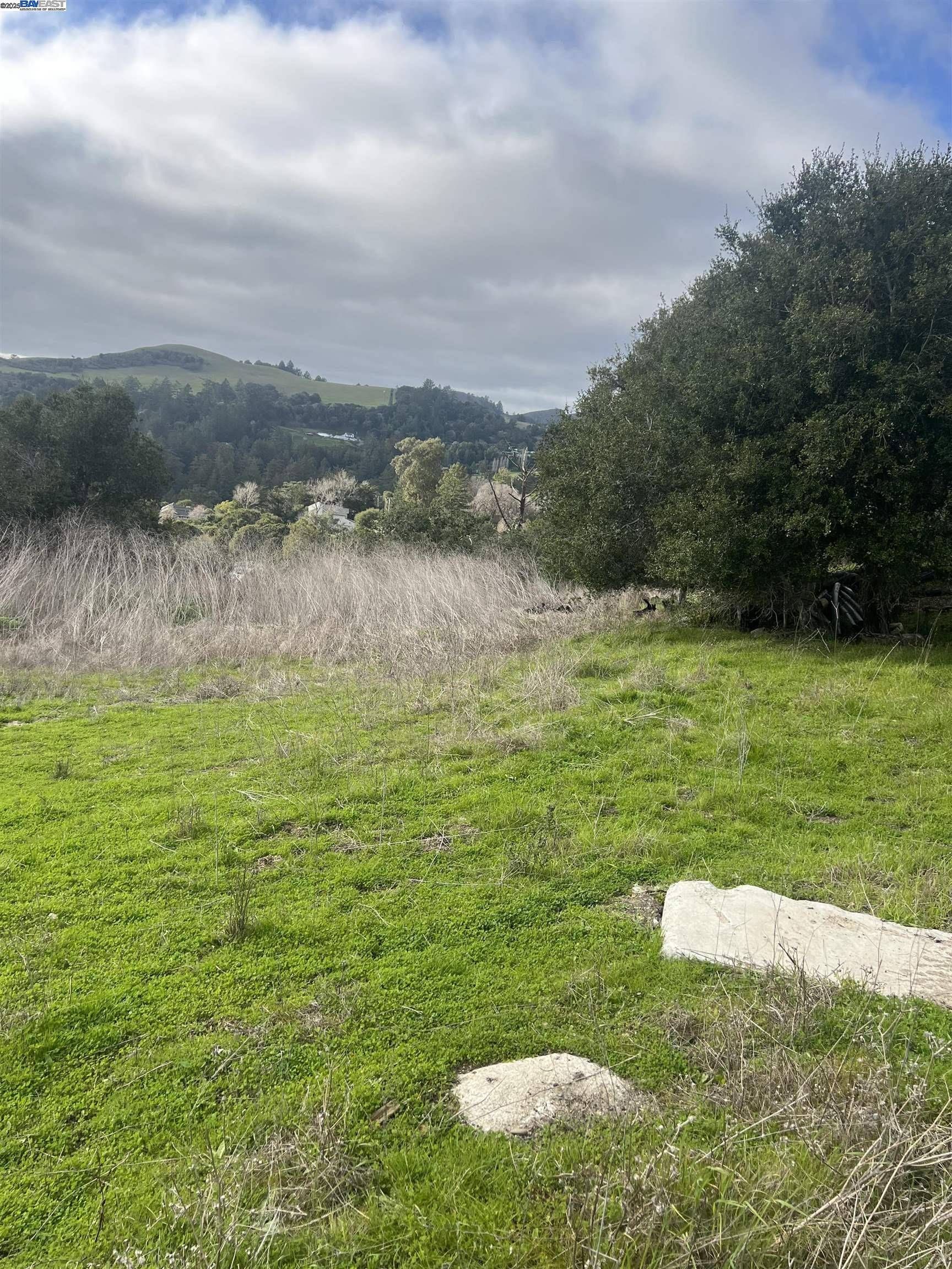 La Honda, CA 94020,20 Scenic DR
