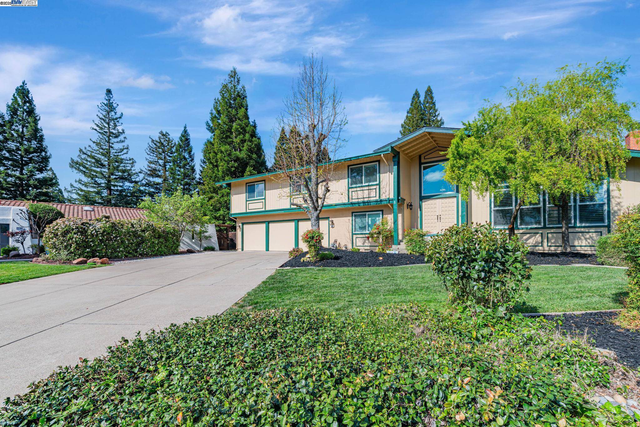 Danville, CA 94526,360 Matadera Ct