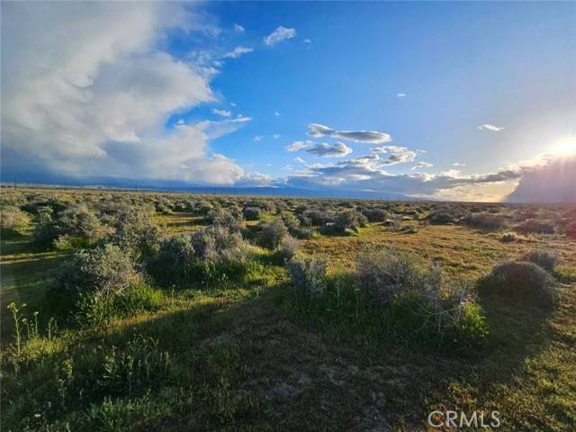 Rosamond, CA 93560,359 35931505005
