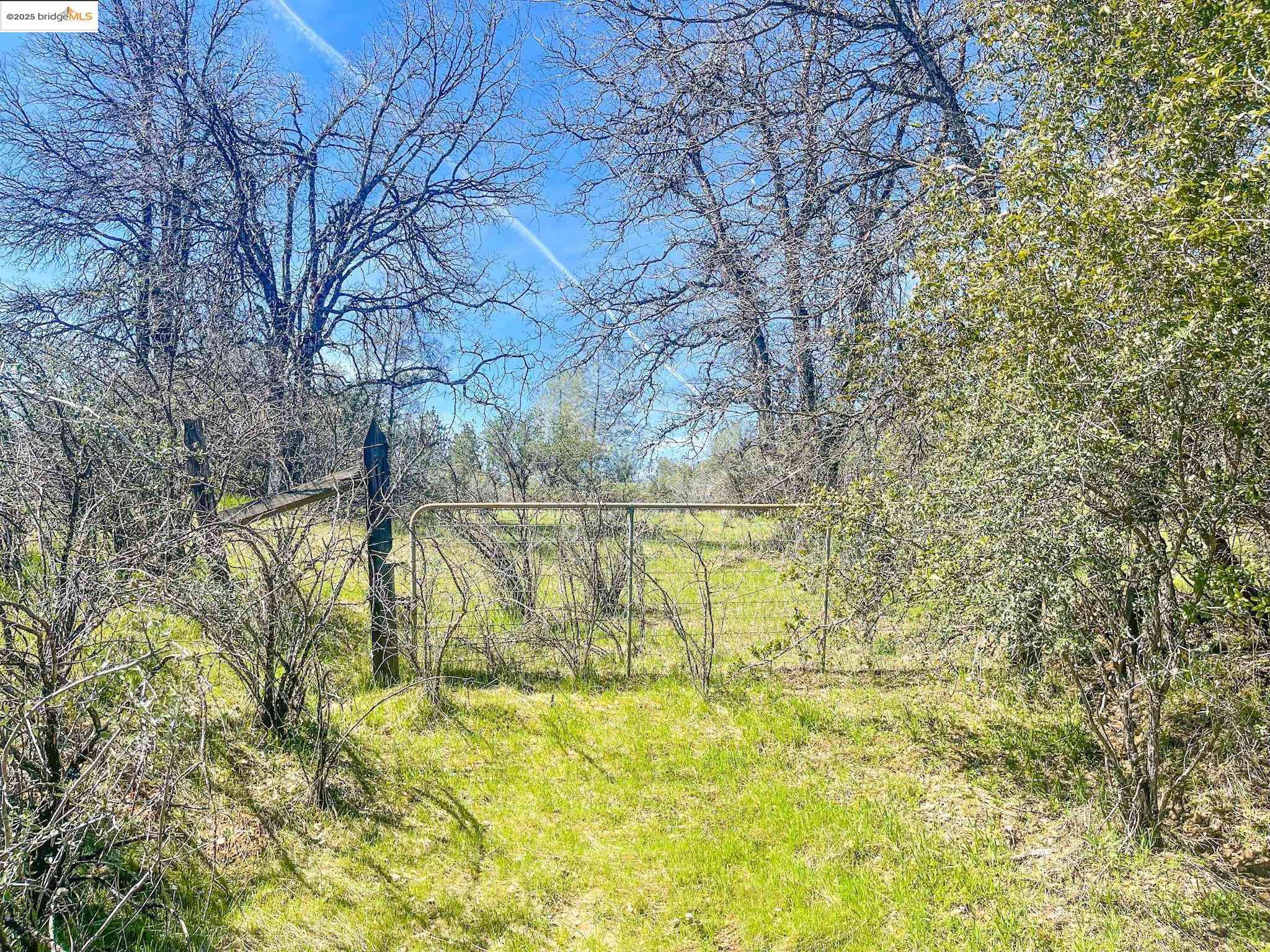 Soulsbyvil, CA 95372,20350 Soulsbyville RD