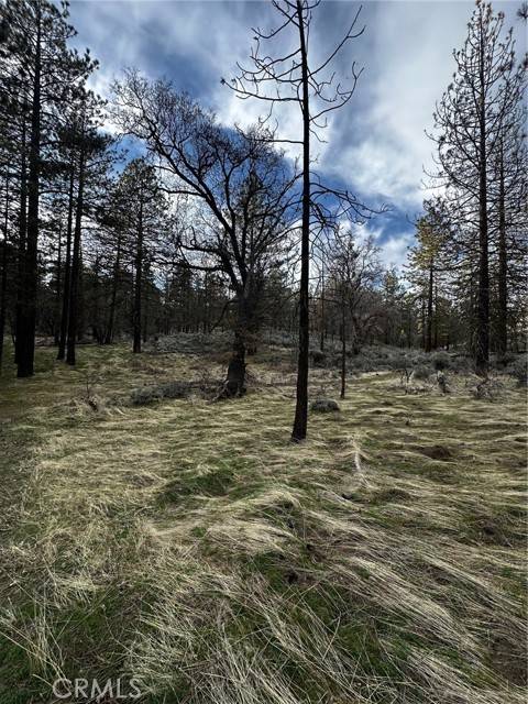 Tehachapi, CA 93561,25641 Paramount