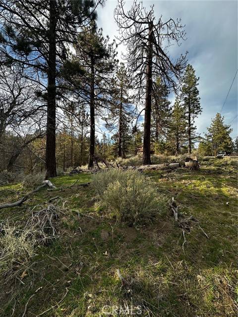 Tehachapi, CA 93561,25641 Paramount