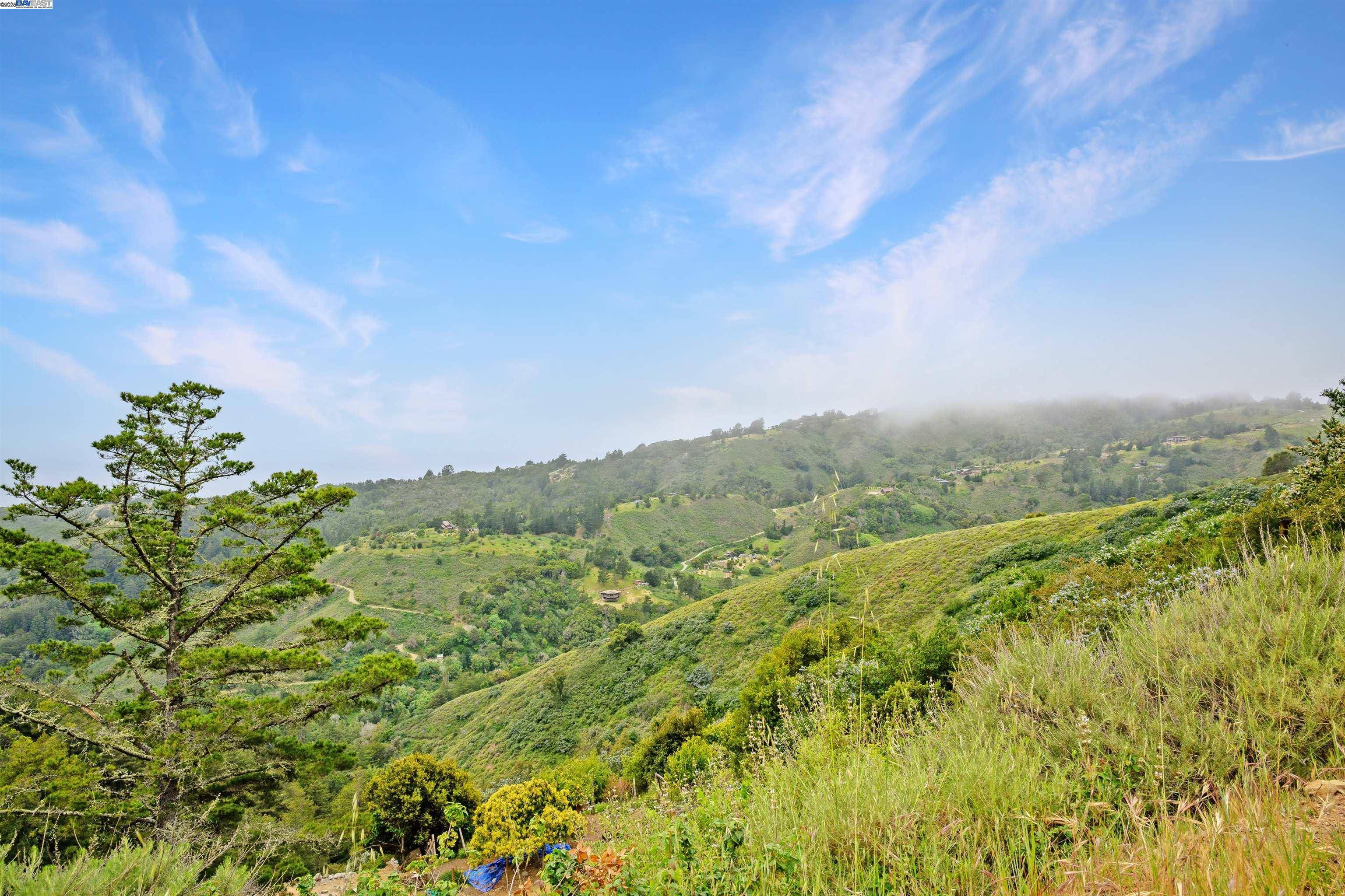 Big Sur, CA 93920,46190 Pfeiffer Ridge Rd